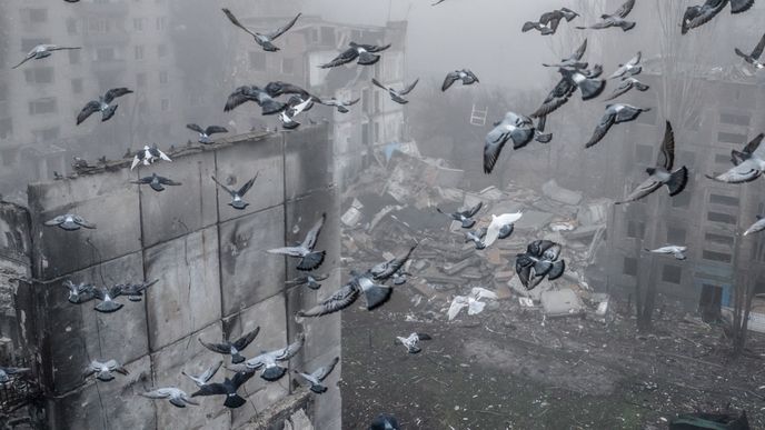 Kosťantynivka zdevastovaná vleklými boji (28. 11. 2025). Kosťantynivka zdevastovaná vleklými boji (28. 11. 2025).