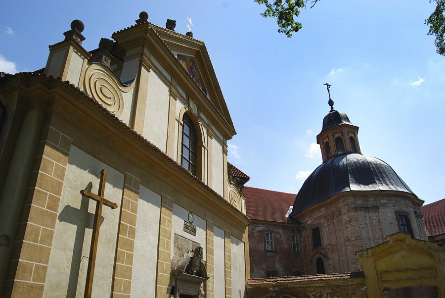 Kostel Nanebevzetí Panny Marie v Plasích
