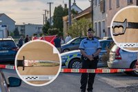 Trojnásobná vražda v Kostelci na Hané šokovala i otrlé kriminalisty: Hrozivé detaily brutálního zločinu