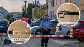Trojnásobná vražda v Kostelci na Hané šokovala i otrlé kriminalisty: Hrozivé detaily brutálního zločinu