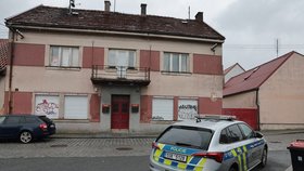 Muži podezřelému z vraždy muže a ženy v Kostelci hrozí až výjimečný trest.