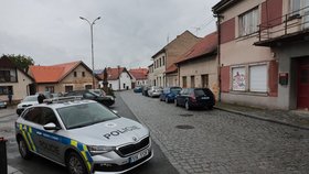 Muži podezřelému z vraždy muže a ženy v Kostelci hrozí až výjimečný trest.