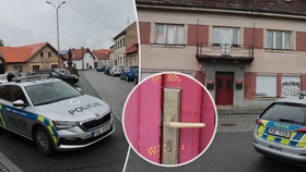 Muži podezřelému z vraždy muže a ženy v Kostelci hrozí až výjimečný trest.