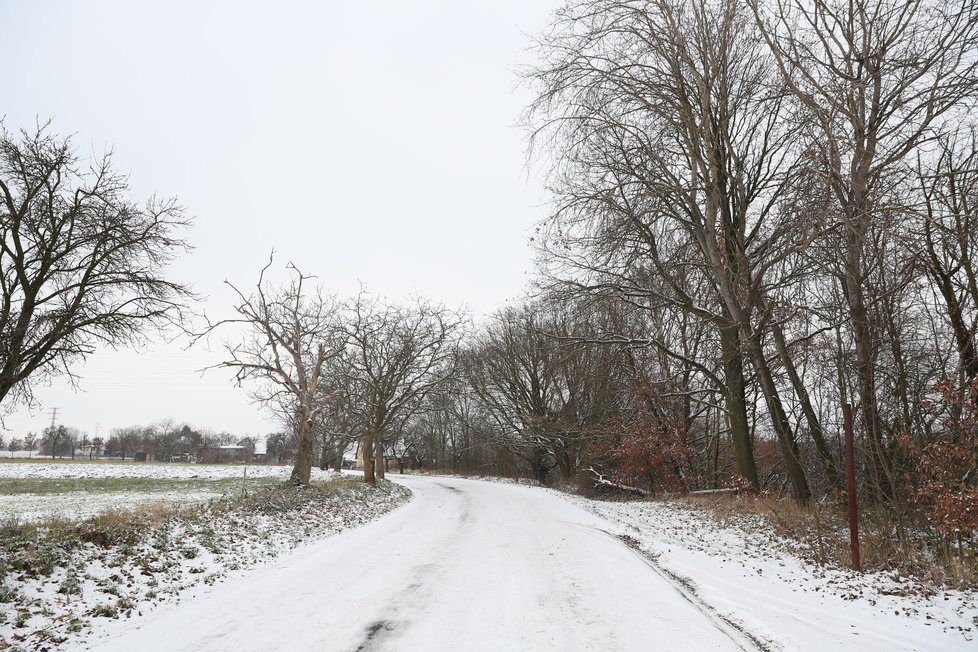 Tragická nehoda u Kostelce nad Černými lesy