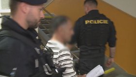 Chtěla začít pracovat a sama si vydělávat, to měl obviněný považovat za ostudu.