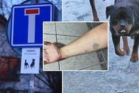 Obyvatelé Kostelce u Křížků žijí ve strachu z agresivních zvířat: Útočí psi, vylezte na strom, varuje obec