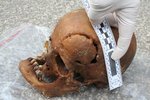 Lebka kostry, která byla nalezená v brněnské šachtě teplovodu