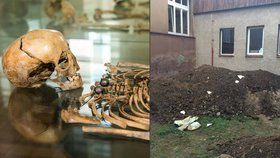 Při výkopech našli dělníci na dvoře školy lidské ostatky.
