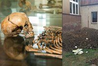 Děsivý nález: Na dvoře základní školy ve Zbraslavi našli dělníci kostru člověka