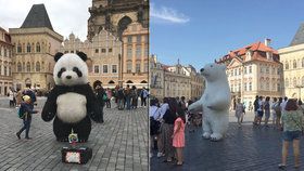 Obří zvířata na Staromáku: K pandě a lednímu medvědovi přibyla koala a krtek, v září ale mají skončit