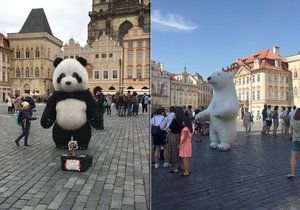 Některé formy pouličního umění chce Praha omezit změnou vyhlášky.