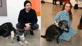 Vojta Kotek se svým psím nemocným staříkem: Přítelkyně ho našla v útulku!  
