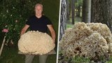 Pan Josef se pochlubil patnáctikilovým úlovkem: Sebral ohroženou houbu!
