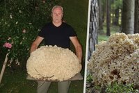 Houbař Josef našel obřího kotrče: Vážil 15,5 kilo!