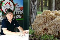 S mykologem na houbách: Nenápadný hojič ran kotrč kadeřavý