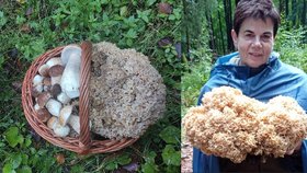 Iveta (56) našla tříkilový kotrč! Ceněná houba se prodává za tisíce