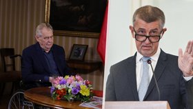 Prezident Miloš Zeman (vlevo) a premiér Andrej Babiš (ANO)