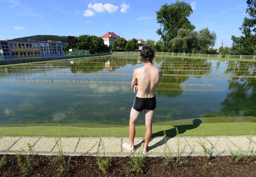 Biotop v Radotíně