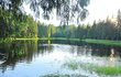 Komáří rybník, Krásno na Sokolovsku