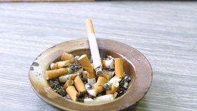 Kuřákům svitla naděje: Senátoři dávají zákaz cigaret v restauracích k soudu.