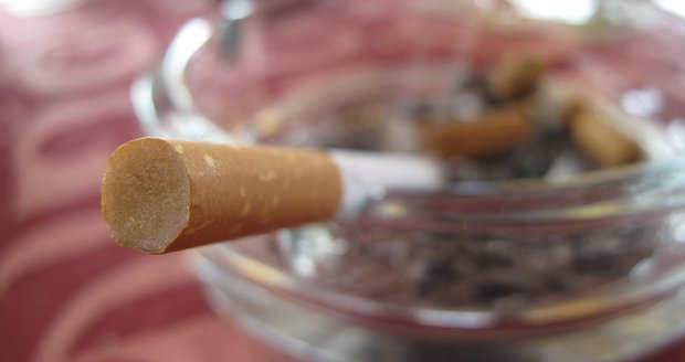 Zákaz cigaret v barech či zoo i omezení alkoholu: Protikuřácký zákon přehledně