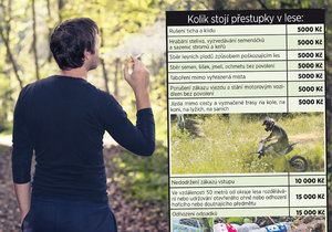 Kouření v lese ohroženo?