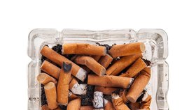 V České republice podle studie Světové zdravotnické organizace kouří každý pátý školák ve věku 13-15 let