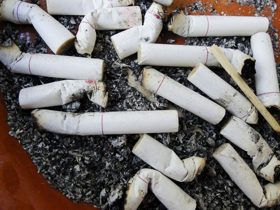 Tři pětiny se domnívají, že zákon povede k větší ochraně lidí, podle 47 procent i ke snížení počtu vykouřených cigaret