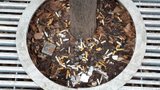 Zastávky MHD hyzdí nedopalky cigaret. „Je těžké kuřáky nachytat,” omlouvá se policie