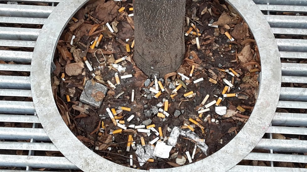 Doslova popelník si dělají kuřáci u místních stromů.