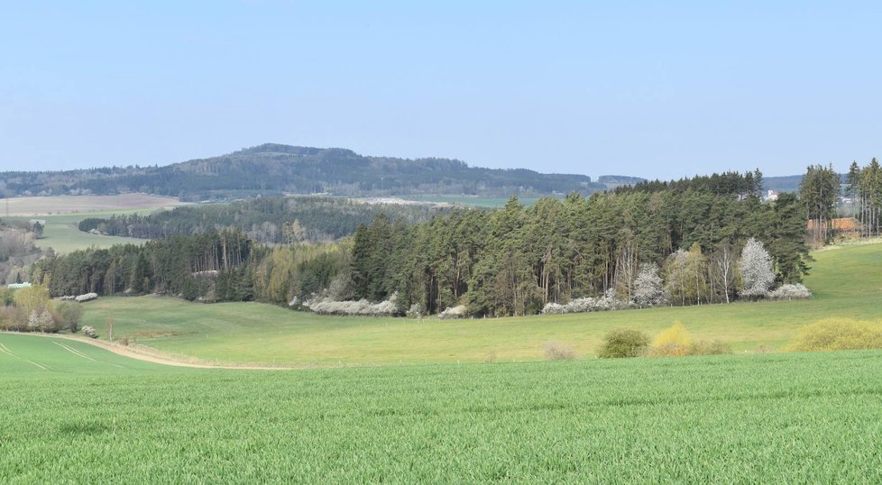 Vlčí hora nad Černošínem na Tachovsku.