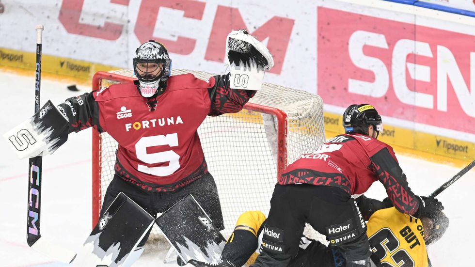 Brankář Jakub Kovář a Michal Řepík, který brání litvínovského Michala Guta