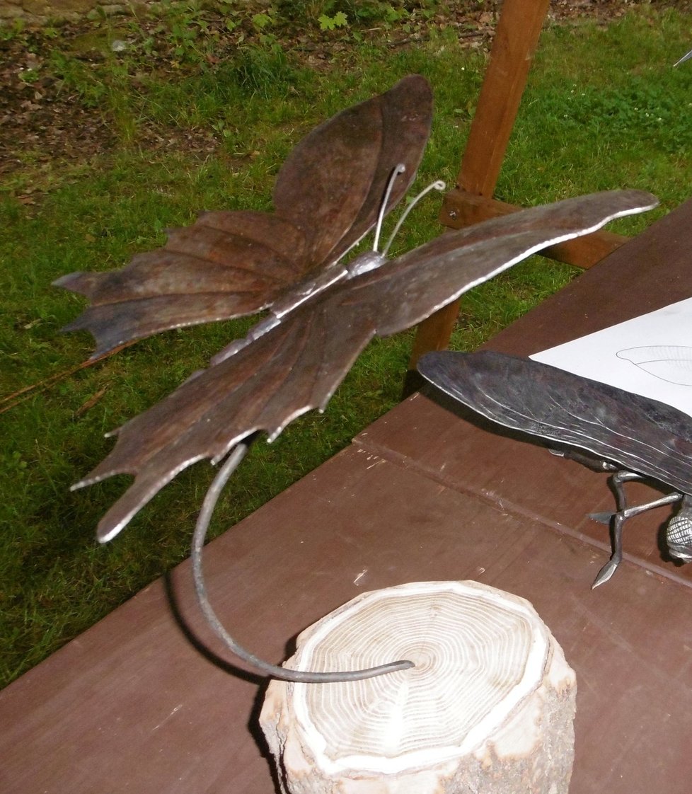 Tohoto kovového motýla vyrobila Simona Holá (17) a obsadila s ním 1. místo na setkání kovářů v Litni u Prahy.