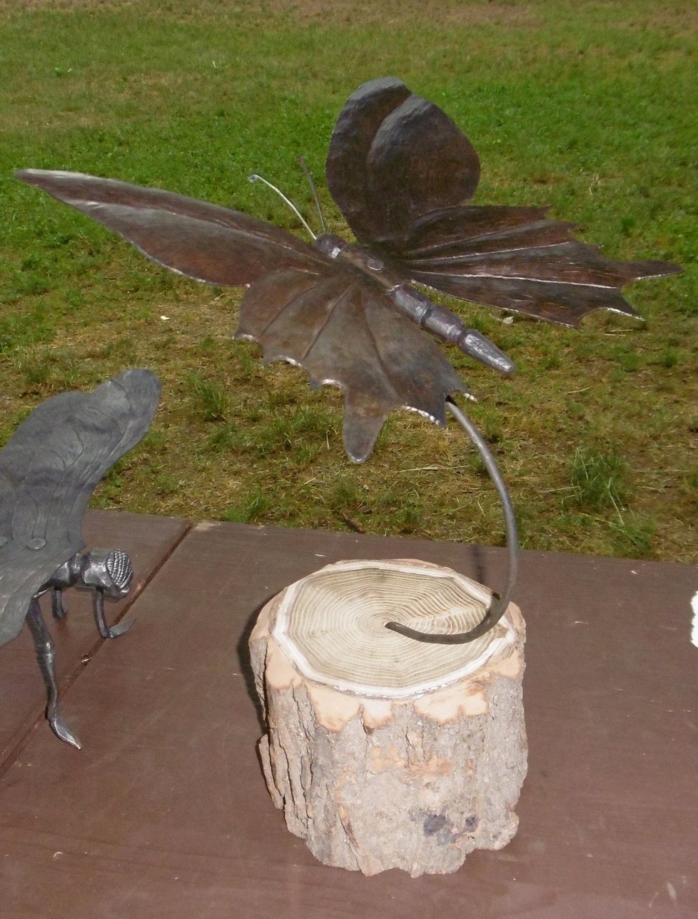 Tohoto kovového motýla vyrobila Simona Holá (17) a obsadila s ním 1. místo na setkání kovářů v Litni u Prahy.