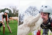 Muži došla trpělivost se stresem: Stal se kozou!