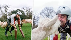 Muž se rozhodl žít jako koza.