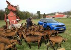 Cestování za jídlem: Na Českolipsku nás zaujala nejen kozí farma!