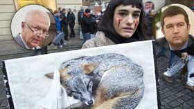 Politici vs. zabíjení zvířat pro kožichy: Kdo chce zákaz a kdo je teď spokojený?