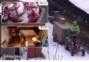 Drastické záběry: Ochranáři zvířat politikům ukázali, jak se zabíjí kožešinová zvířata.