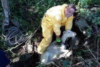 Hasičská zvířecí záchranka: Kozy tahali ze skruží, k uvázlé kočce se probourali domem