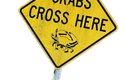 Dopravní značka varující řidiče před kraby na silnici. Některé pobřežní komunikace jsou v době migrace krabů dokonce uzavřeny