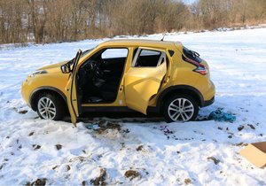 Majitelce zůstaly po setkání se svým miláčkem oči pro pláč. Drzý zloděj a navíc vandal na něm způsobil škodu za 130 tisíc korun.