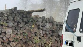 Trojici chmatáků chytili na Brněnsku při krádeži dřeva, navíc řidič dodávky má uložený zákaz řízení.