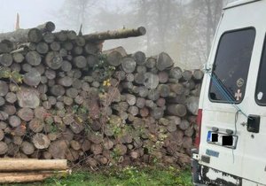 Trojici chmatáků chytili na Brněnsku při krádeži dřeva, navíc řidič dodávky má uložený zákaz řízení.