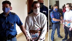 Housky ukradl v nouzovém stavu, dostal 18 měsíců vězení: Ministryně žádá nový proces