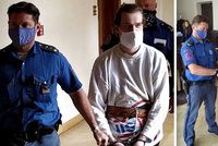 Housky ukradl v nouzovém stavu, dostal 18 měsíců vězení: Ministryně žádá nový proces