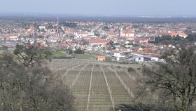 Z vinohradu se ztratilo 650 kovových podpěr pro vinnou révu. Zloději je podle všeho odvezli do sběrny. Ilustrační foto