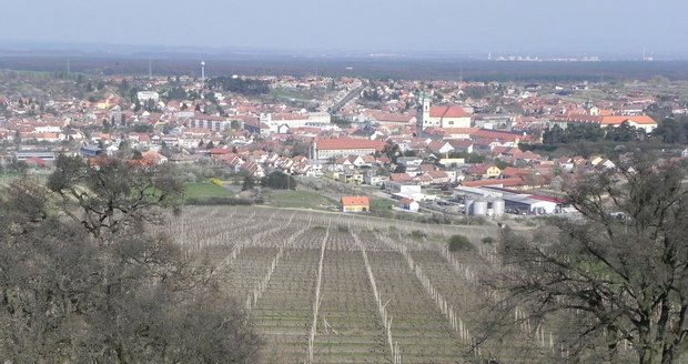 Z vinohradu se ztratilo 650 kovových podpěr pro vinnou révu. Zloději je podle všeho odvezli do sběrny. Ilustrační foto