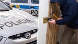 Policie zadržela lupiče z Mělnicka: Vloupal se nejméně do 10 domů!