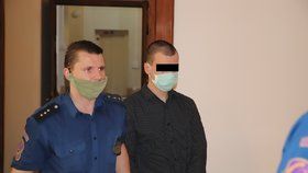 Krajský soud Brno poslal v úterý na 12,5 roku do věznice s ostrahou Richarda U. za vraždu ve stadiu pokusu.